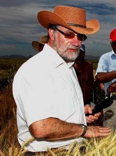 Hans-Joachim Braun, direttore del Global Wheat Program del Cimmyt